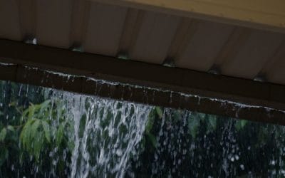 The Importance of Gutter Maintenance for Roof Health in Southern Maryland’s Summers