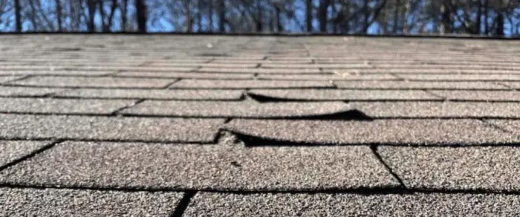 Curled or Lifted Shingles