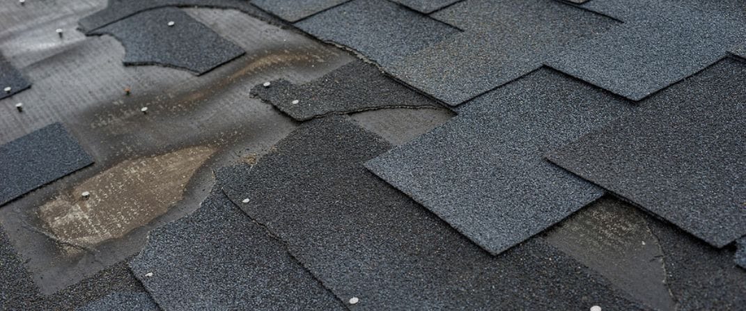 Detecting and Addressing Wind Damage