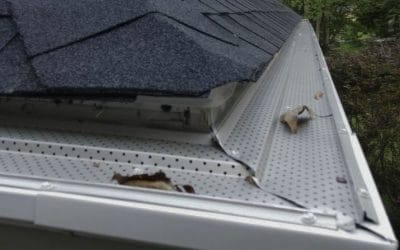 The Underrated Importance of Gutter Cleaning: A Fall Necessity