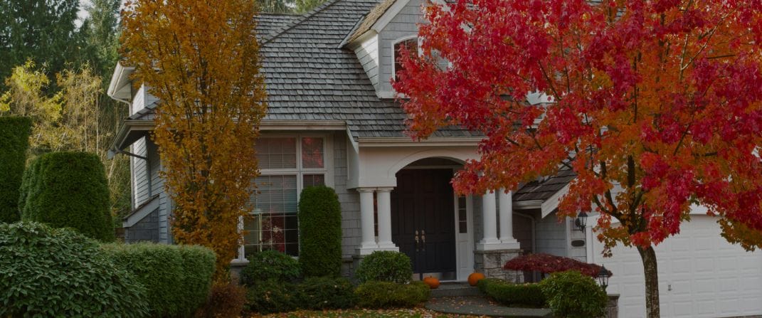 Seizing the Season: Why Fall Is Optimal for Roof Repairs