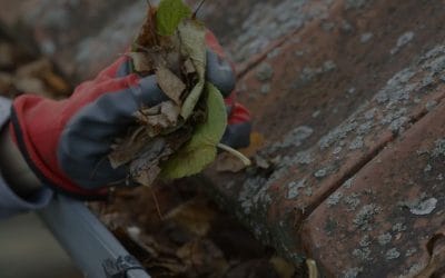 Autumn Roof Care: Practical Maintenance Tips with Priddy Roofing and Exteriors