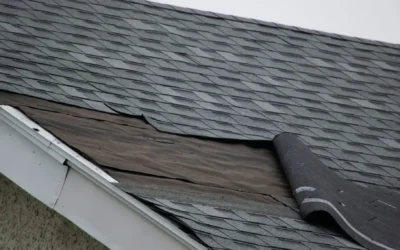 Navigating Autumn Hazards: Strategies to Prevent Fall Roofing Issues with Priddy Roofing and Exteriors