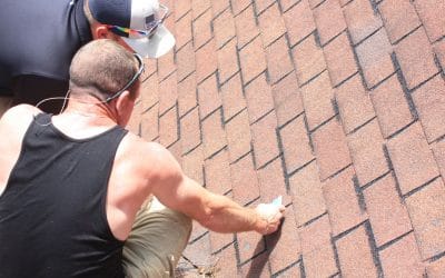 Professional Roofing Services: How to Prevent Expensive Repairs with Regular Inspections