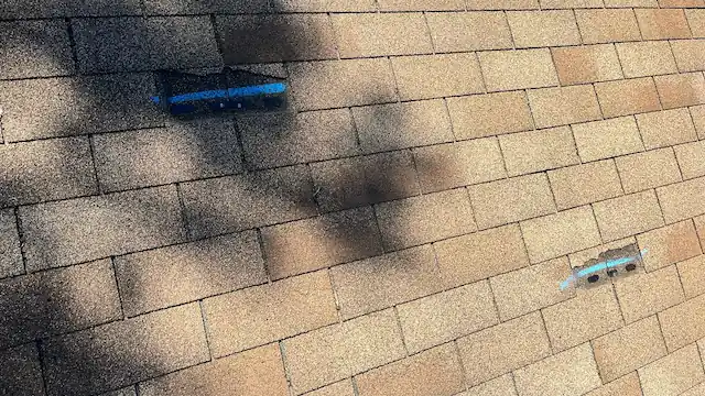 wind-damage