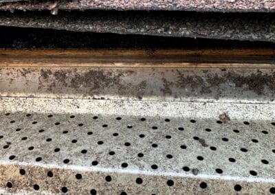 Before look of project