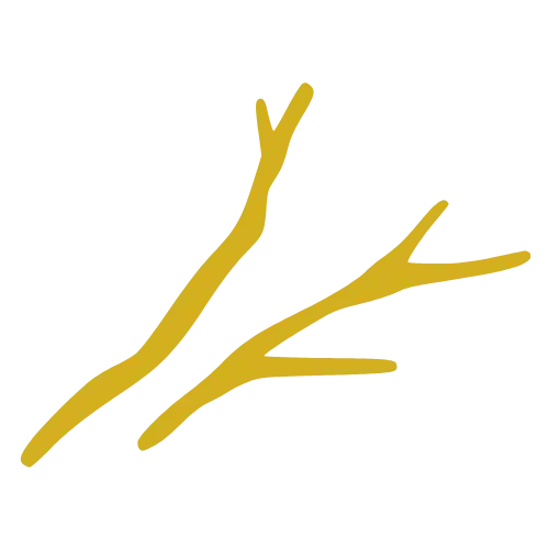 LeafBlaster Pro_icons