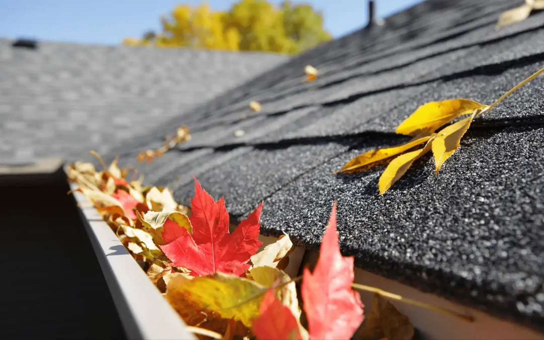 Why Fall is the Best Time for a Roof Inspection