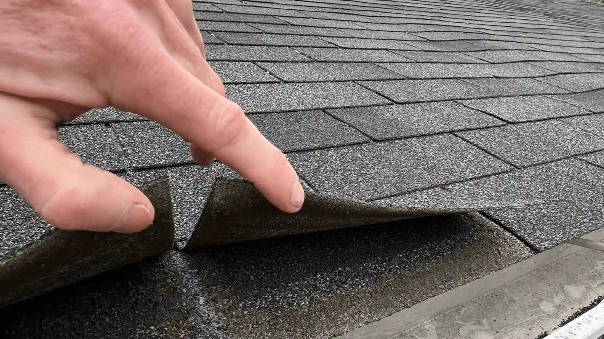 Shingle damage image representation