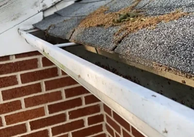 Before look of roof with shingle damage