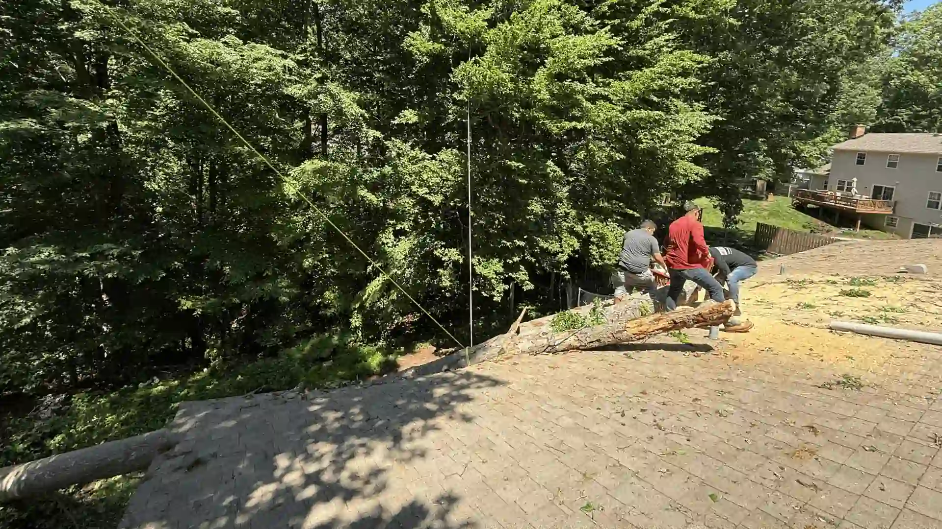 Clear off Debris img rep