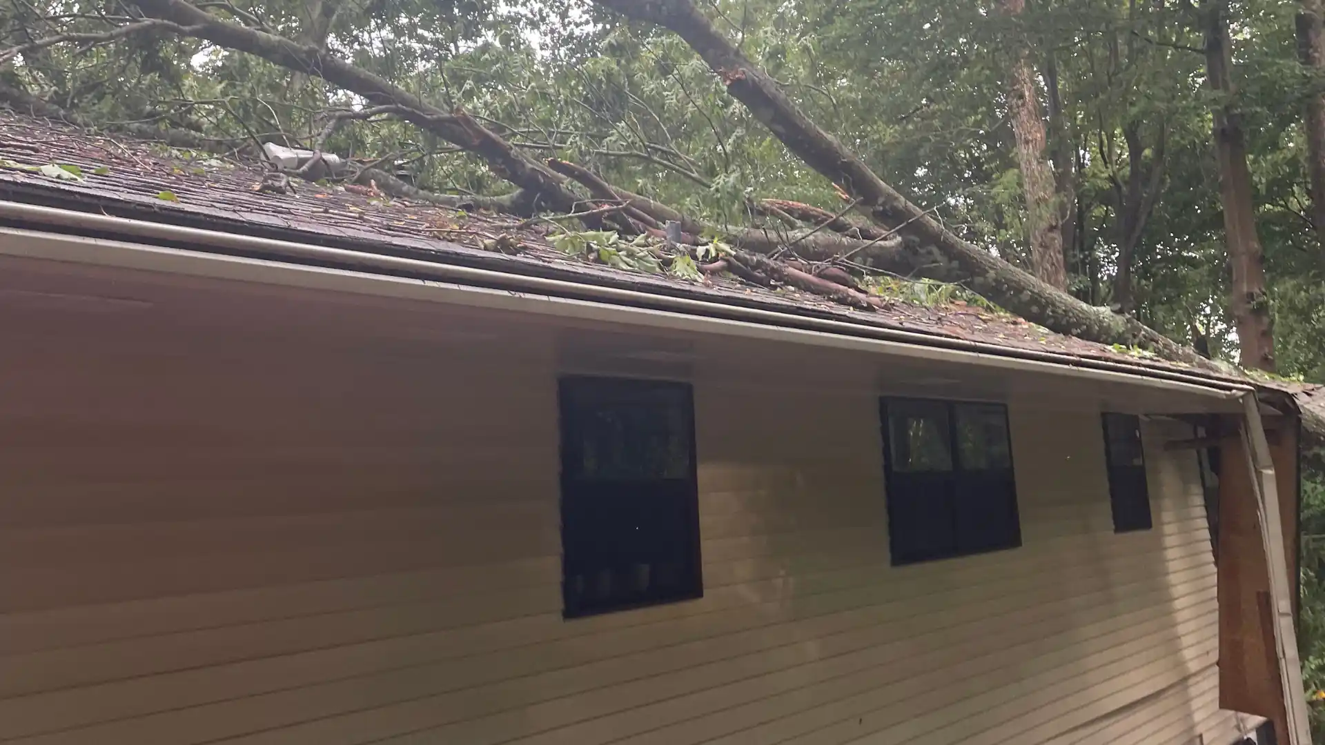 The Role of Weather, Storm Damage, and Insurance img rep