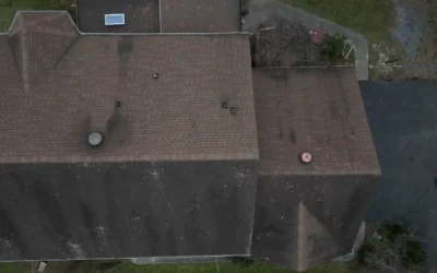 What Are the Black Streaks on My Roof