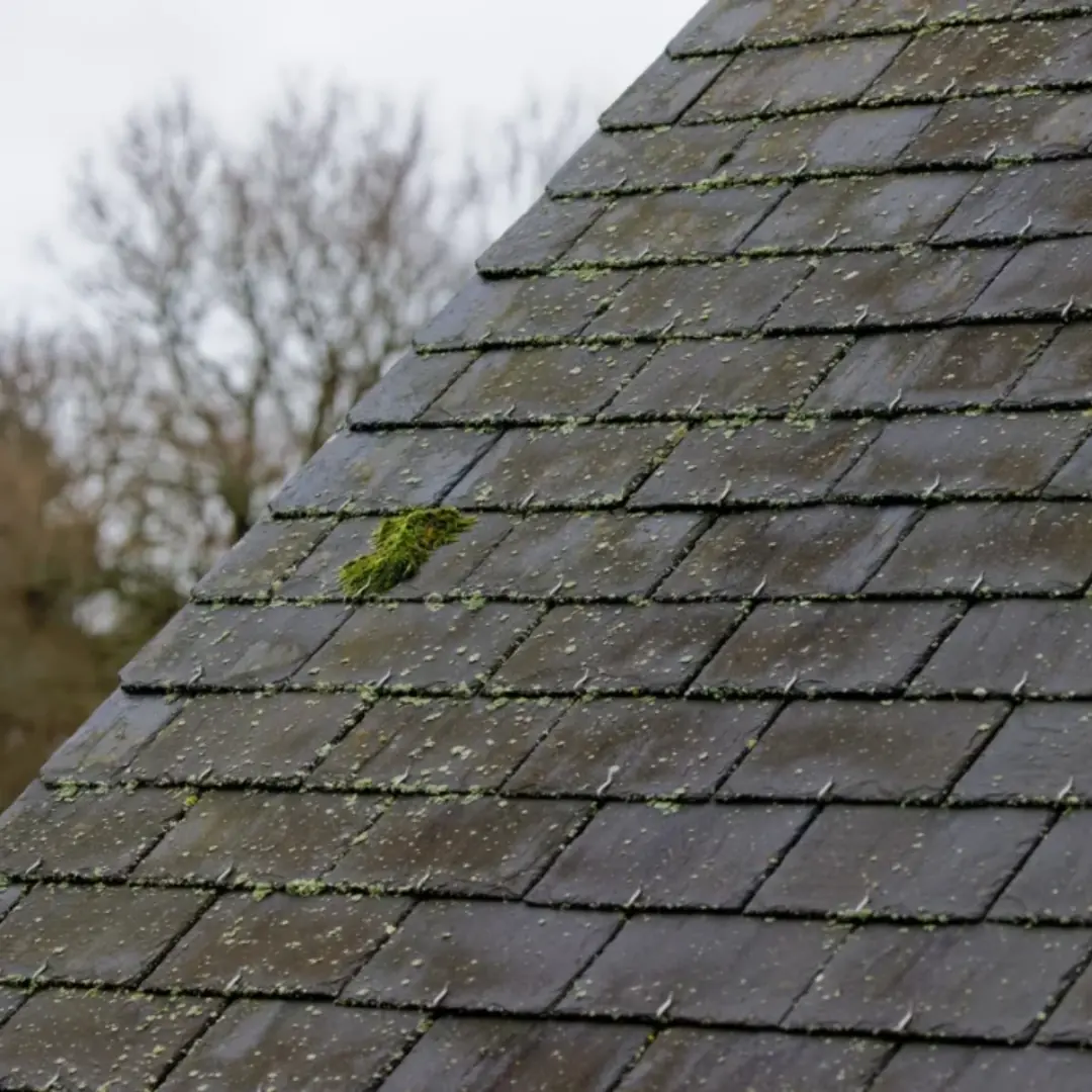 When Black Streaks Are a Sign of Something More img rep