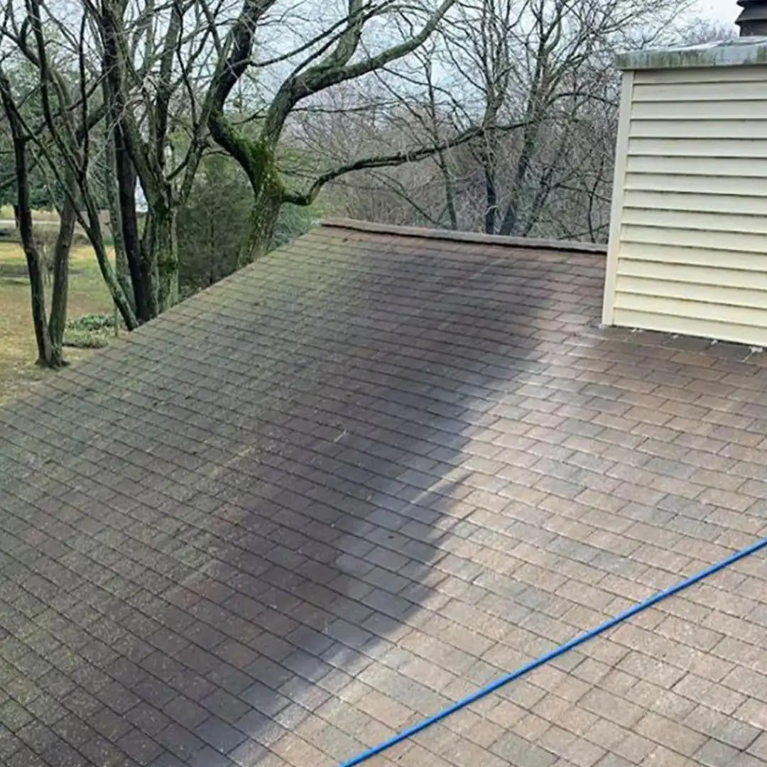 Why You Shouldn’t Ignore Them img rep