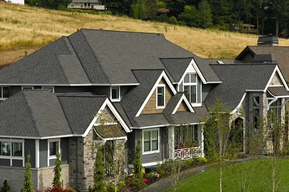 Presidential shake img rep2