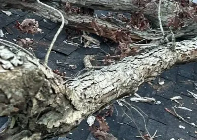 Before look of project with roof damage