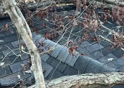 Before look of project with roof damage