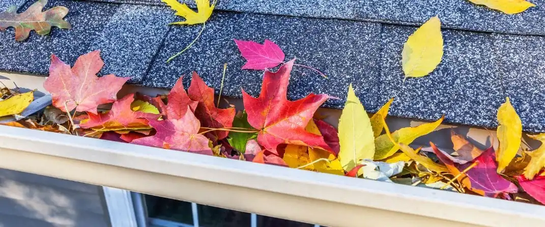 Clear the Roof of Debris