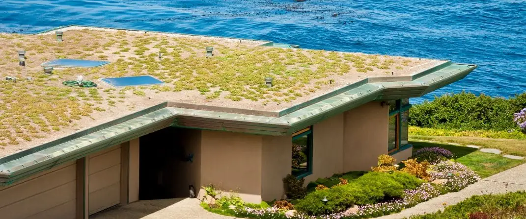 Green Roofing img rep