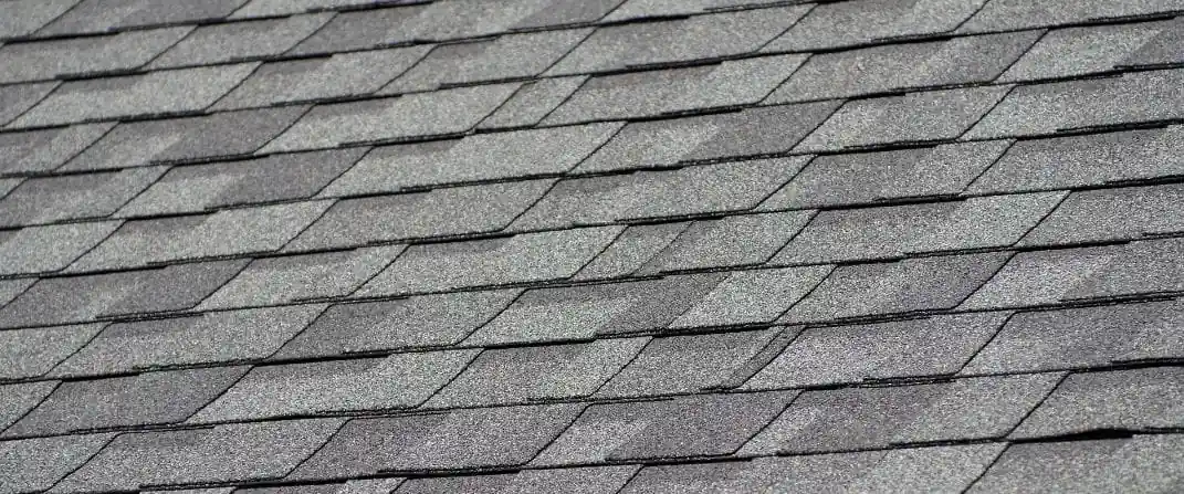 Maintenance and Care for Wet Shingles img rep