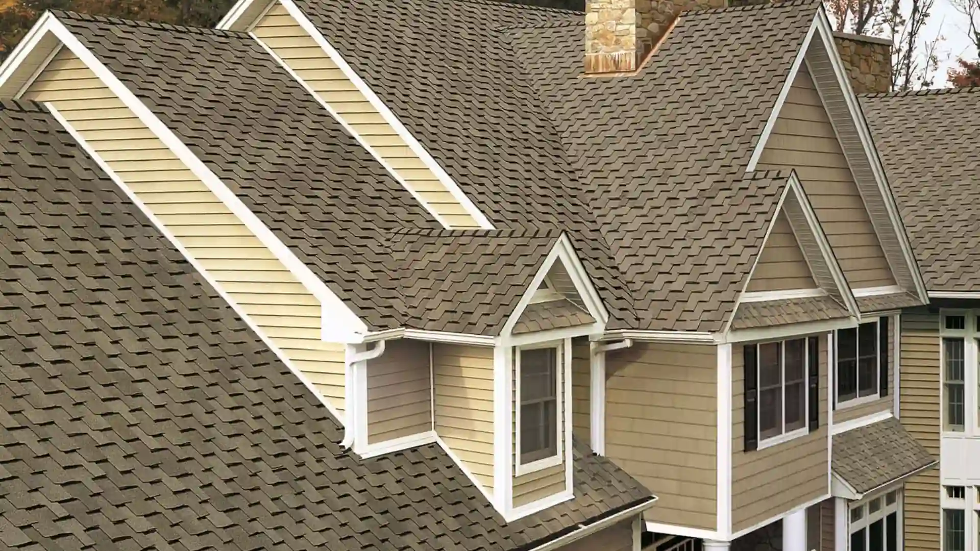 What Sells Here section img rep