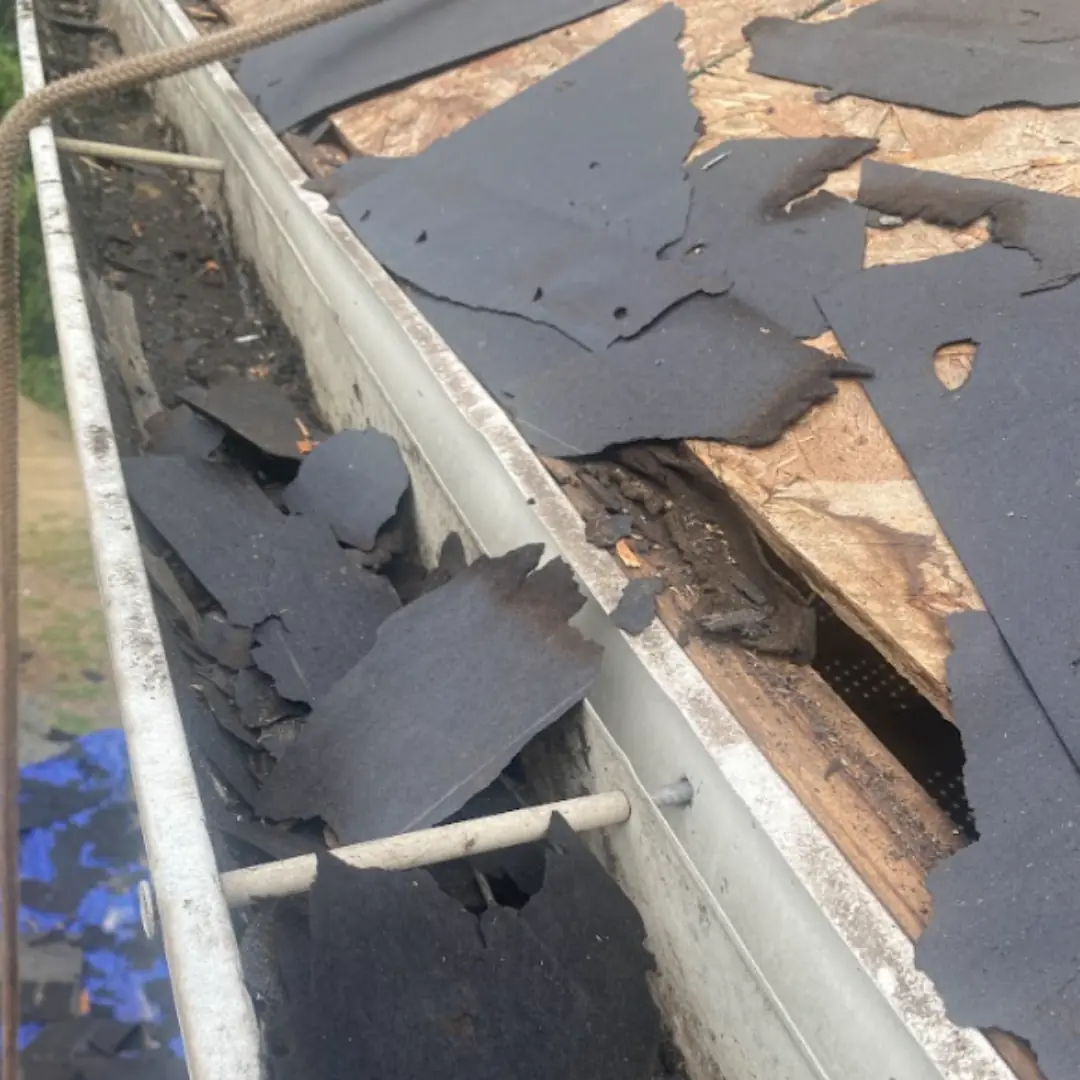 1. Damaged or Missing Shingles img rep