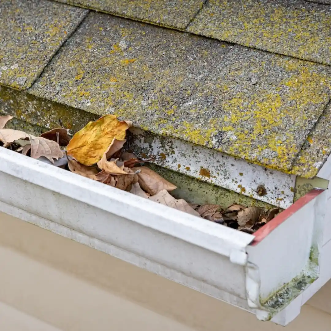 3. Clogged or Backed-Up Gutters img rep