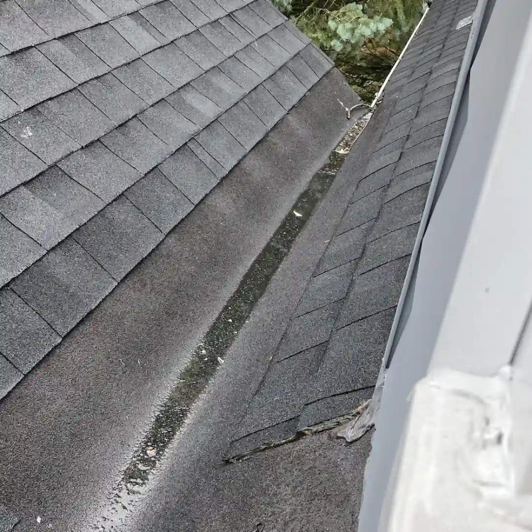 4. Worn-Out Roof Valleys img rep