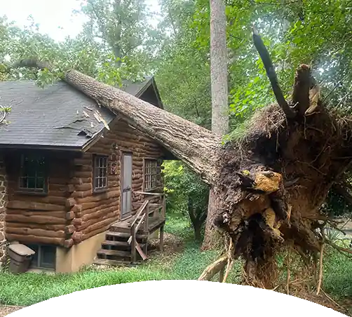 CARD_IMAGE_CUT_512x512-1_storm_damage storm-damage