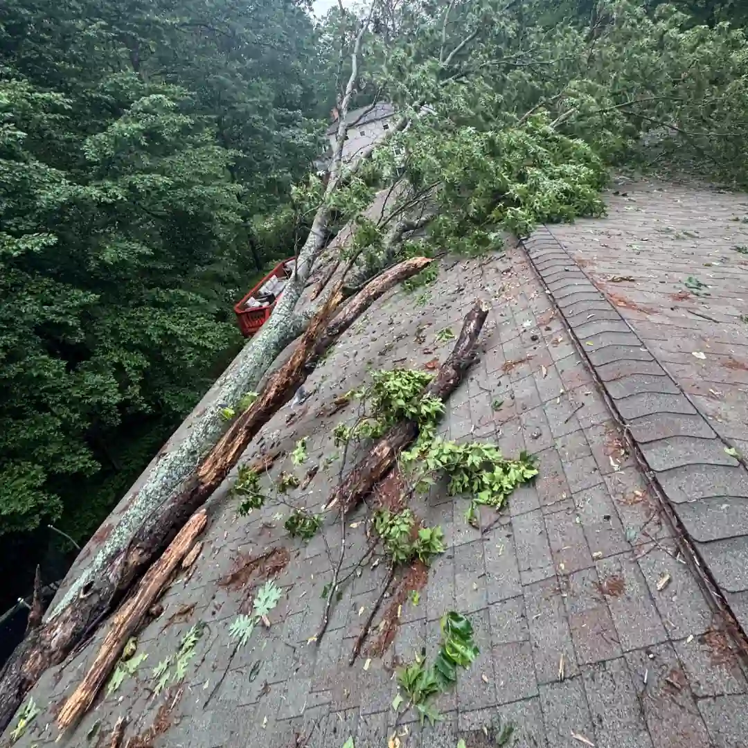 Planning Your Roof Replacement for Spring 2026 img3 Planning Your Roof Replacement for Spring 2026 img rep