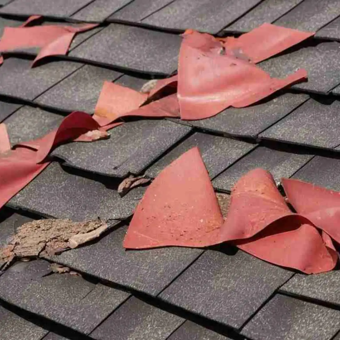 Red flags that should make you walk away img rep